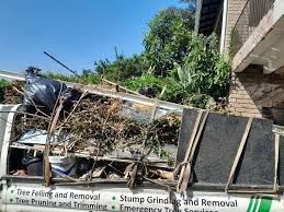 Best Recycling Services for Junk  in Egypt, PA